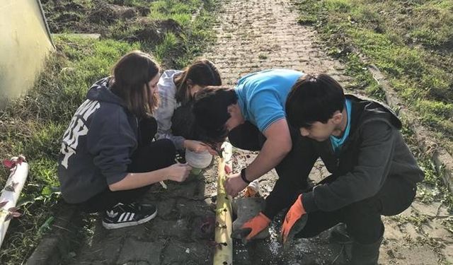 Meslek Lisesi topraksız tarım ile üretime başladı...