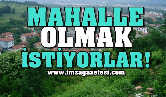 O Köy Mahalle Olmak İçin Sandığa Gitti