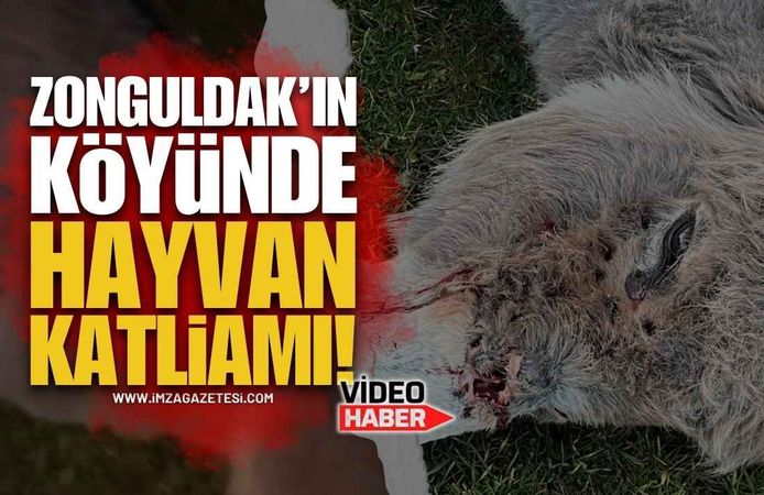 Zonguldak'ın Köyünde Skandal İddialar: Köylüler Ayaklandı!