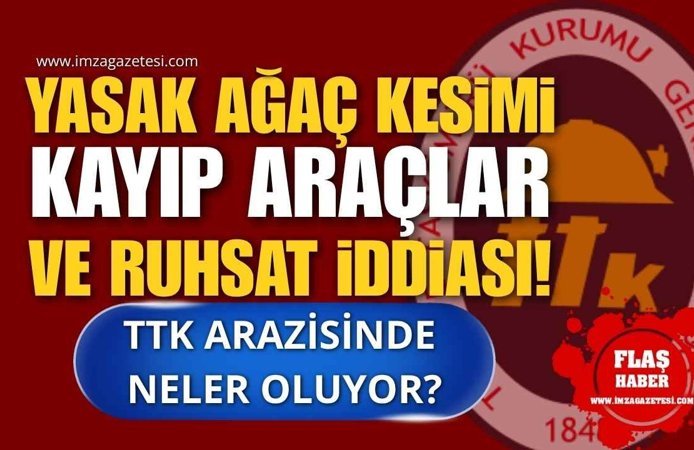 Yasak Ağaç Kesimi, Kayıp Araçlar ve Ruhsat İddiası! TTK Arazisinde Neler Oluyor?