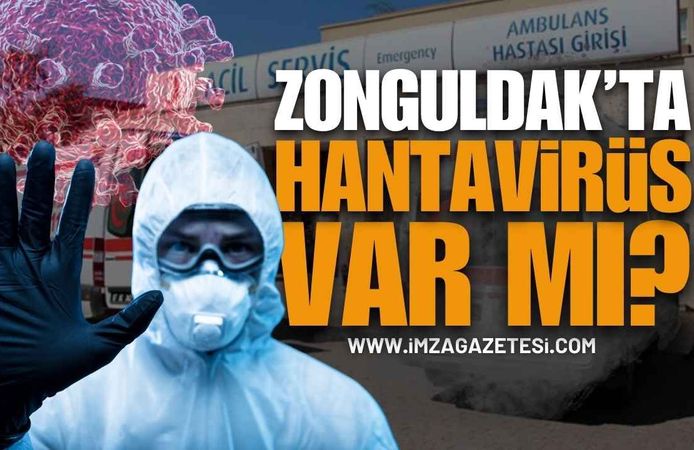 Zonguldak'ta Hantavirüs Paniği: Kentte Hantavirüs Var Mı?