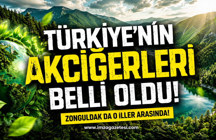 Türkiye'nin Akciğerleri Belli Oldu! Zonguldak da O İller Arasında!