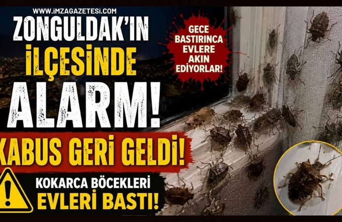 Zonguldak'ın ilçesinde Alarmı! Kabus geri geldi!