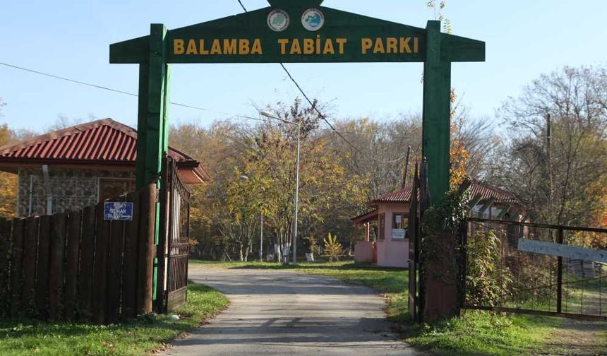 Balamba Tabiat Parkı
Bartın’ın merkez ilçesinde yer alan bir tabiat parkıdır. Şehir merkezine yaklaşık 10 kilometre uzaklıktadır. Park, yemyeşil ormanları, şelaleleri ve göletleri ile doğaseverler için ideal bir piknik alanıdır.
Park, 13.105 hektarlık bir alana sahiptir. Parkın içerisindeki ormanlar, gürgen, meşe, kayın, ıhlamur, çınar ve kestane gibi ağaç türlerine ev sahipliği yapmaktadır. Parkta ayrıca, Karagöl, Büyükgöl ve Küçükgöl olmak üzere üç adet göl bulunmaktadır.
Balamba Tabiat Parkı’nda piknik yapmak, doğa yürüyüşü yapmak, kamp yapmak ve balık tutmak gibi aktiviteler yapılabilir. Parkta ayrıca, restoran, kafe, çay bahçesi ve çocuk oyun alanı gibi tesisler de bulunmaktadır.
Parka giriş ücretilidir.