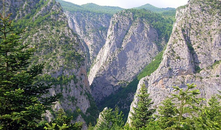 Küre dağlarını oluşturan kireçtaşı tabakaların, akarsuların kimyasal yolla aşındırması ile oluşmuştur. Devrekâni Çayı ve Kanlıçayı'nın birleştiği noktadan başlayan kanyon, Cide ilçesi yönünde 12 km ilerliyor.