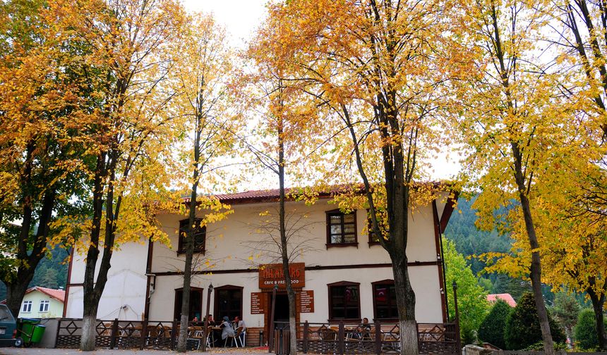 Doğal güzellikleri ile ön plana çıkan Azdavay ilçesi de doğaseverlerden yoğun ilgi görüyor. Azdavay ilçesinde sonbahar, tüm renkleriyle kendini gösteriyor.