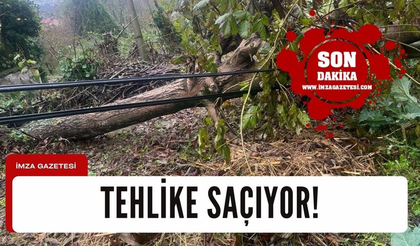 Tehlike saçıyor... Aman dikkat!