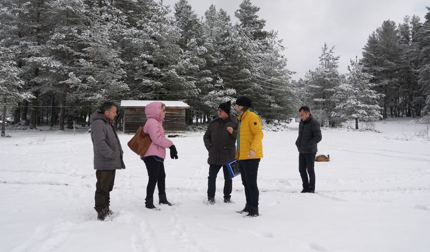 Festivalin Genel Planlaması
Araç Kaymakamı Emin Cevat Tutar başkanlığında festival tertip komitesinde yer alan Araç Belediye Başkanı Satılmış Sarıkaya, Kastamonu Üniversitesi Turizm Fakültesi Öğretim Görevlisi Hikmet Haberal ve diğer komite üyeleri, festivalin gerçekleştirileceği Fındıklı ve Gölcük yaylalarında detaylı incelemelerde bulundu.