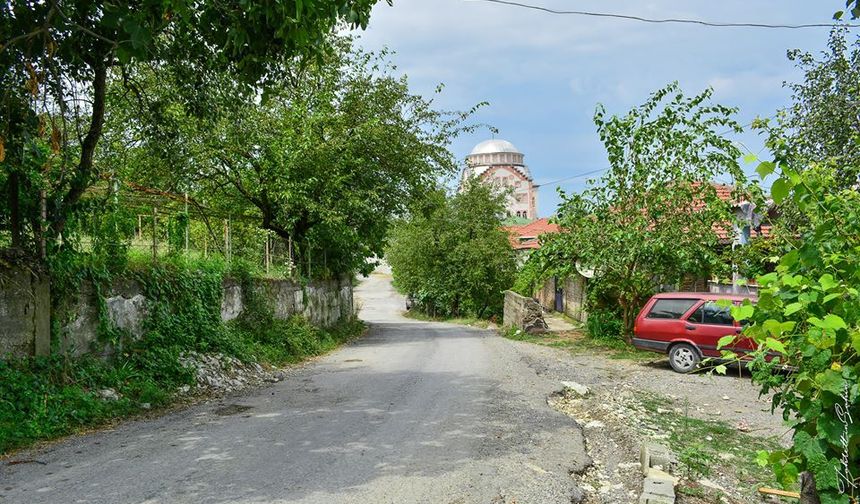 Zonguldak(Alaplı/Ahatlı Köy.) 205
Zonguldak(Alaplı/Ahiler Köy.) 242
Zonguldak(Alaplı/Alaplıbölücek Köy.) 330
Zonguldak(Alaplı/Alaplıkocaali Köy.) 291
Zonguldak(Alaplı/Alaplıömerli Köy.) 314
Zonguldak(Alaplı/Alaplıortacı Köy.) 407
Zonguldak(Alaplı/Alioğlu Köy.) 502
Zonguldak(Alaplı/Aşağıdağ Köy.) 1127
Zonguldak(Alaplı/Aşağıtekke Köy.) 196
Zonguldak(Alaplı/Aydınyayla Köy.) 703
Zonguldak(Alaplı/Bektaşlı Köy.) 415
Zonguldak(Alaplı/Belen Köy.) 432
Zonguldak(Alaplı/Büyüktekke Köy.) 186
Zonguldak(Alaplı/Çamcılar Köy.) 521
Zonguldak(Alaplı/Çamlıbel Köy.) 401
Zonguldak(Alaplı/Canbazlı Köy.) 694
Zonguldak(Alaplı/Çatak Köy.) 944
Zonguldak(Alaplı/Çayköy Köy.) 253
Zonguldak(Alaplı/Çengelli Köy.) 121
Zonguldak(Alaplı/Çiçekli Köy.) 244