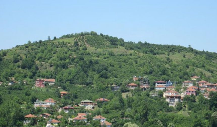 Zonguldak(Alaplı/Demirciler Köy.) 253
Zonguldak(Alaplı/Doğancılar Köy.) 95
Zonguldak(Alaplı/Durhanlı Köy.) 172
Zonguldak(Alaplı/Fındıklı Köy.)- 382
Zonguldak(Alaplı/Gökhasan Köy.) 169
Zonguldak(Alaplı/Gürpınar Köy.) 668
Zonguldak(Alaplı/Hacıhasan Köy.) 641
Zonguldak(Alaplı/Hallı Köy.) 468
Zonguldak(Alaplı/Hasanlı Köy.) 295
Zonguldak(Alaplı/Hüseyinli Köy.) 128
Zonguldak(Alaplı/İsafakılı Köy.) 770
Zonguldak(Alaplı/Kabalar Köy.) 478
Zonguldak(Alaplı/Kasımlı Köy.) 693
Zonguldak(Alaplı/Kılçak Köy.) 1487
Zonguldak(Alaplı/Kıran Köy.) 214
Zonguldak(Alaplı/Kocaman Köy.) 82
Zonguldak(Alaplı/Küçükkaymaz Köy.) 324
Zonguldak(Alaplı/Küçüktekke Köy.) 216
Zonguldak(Alaplı/Kürkükler Köy.) 319
Zonguldak(Alaplı/Mollabey Köy.) 634