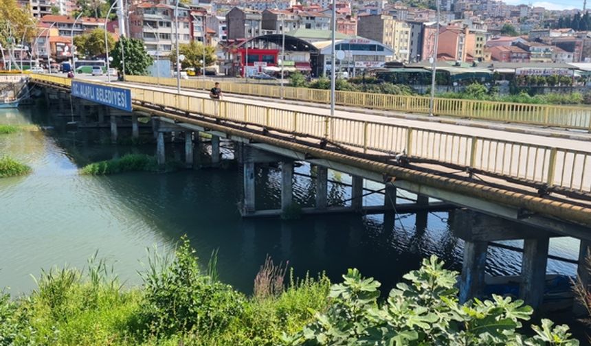 Zonguldak Alaplı 2023 Köy Nüfusları
