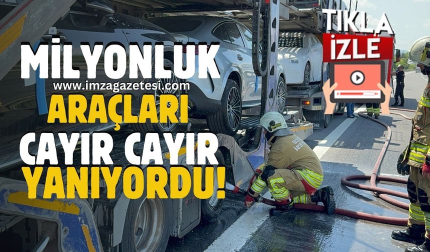 Anadolu Otoyolu'nda milyonluk araç taşıyan tırda yangın!