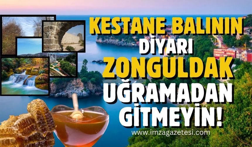 Kestane balının diyarı Zonguldak'ın gezilip, görülmeye değer yerleri... Buralara uğramadan gitmeyin!