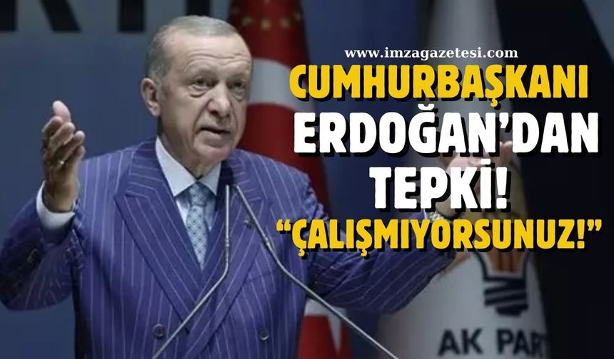 Cumhurbaşkanı Erdoğan'dan sert tepki! "Çalışmıyorsunuz, davayı içselleştirerek çalışın!"