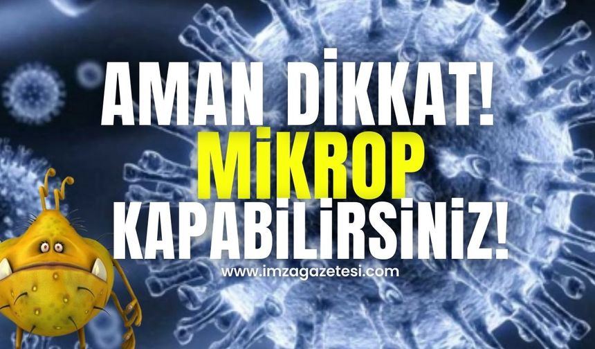 Mikrop Yuvası Tehlikesi: İşte Dikkat Edilmesi Gerekenler!