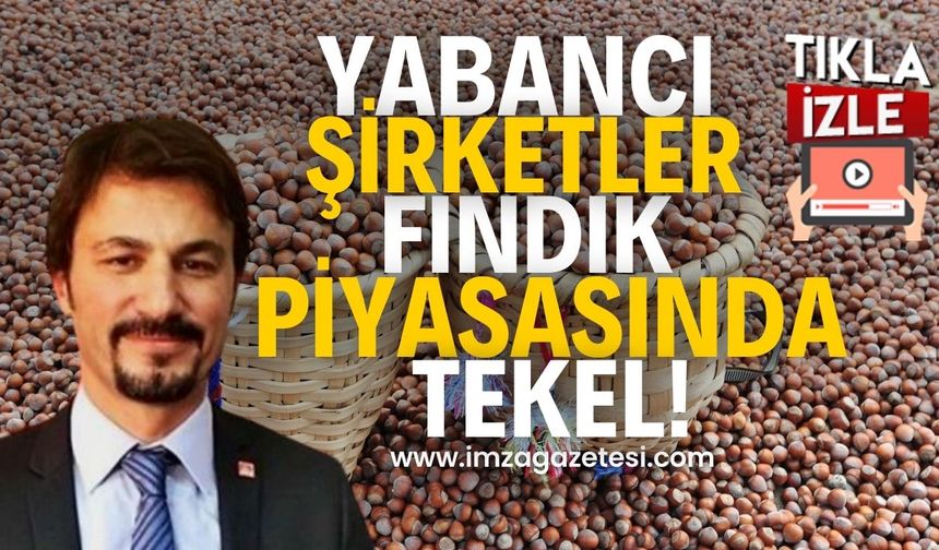CHP Zonguldak Milletvekili Eylem Ertuğrul'un Fındık Fiyatlarına Dair Sert Açıklama!