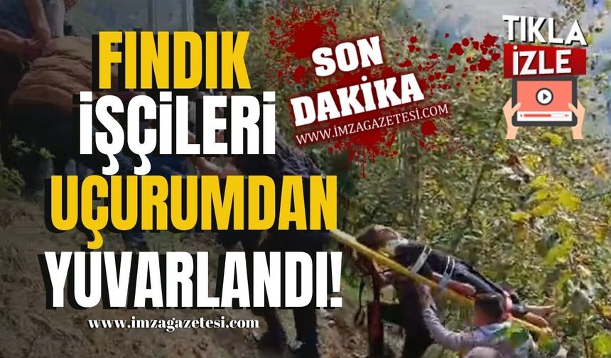 Fındık İşçilerini Taşıyan Minibüs Uçuruma Yuvarlandı!