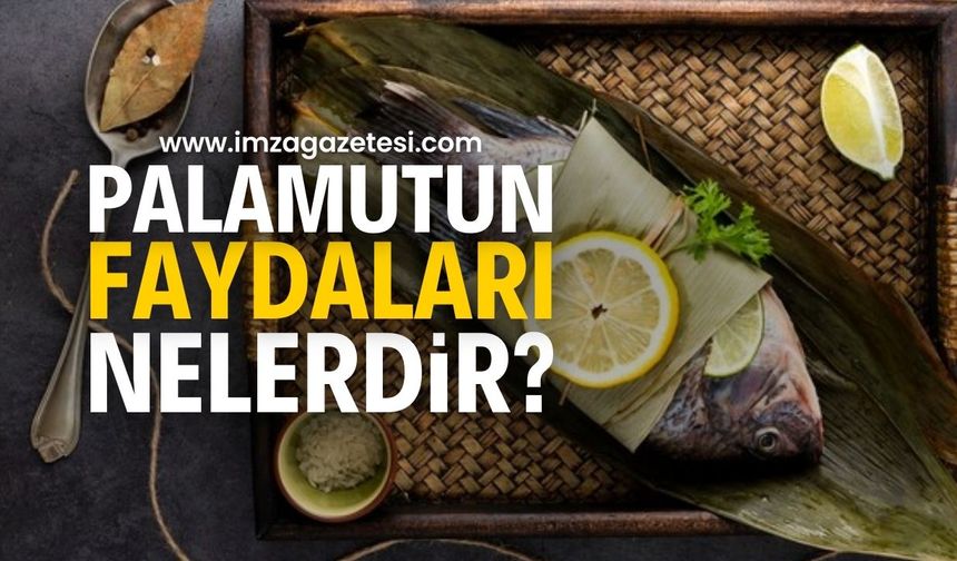 Palamutun Faydaları Nelerdir? Palamut Nasıl Yenmeli?