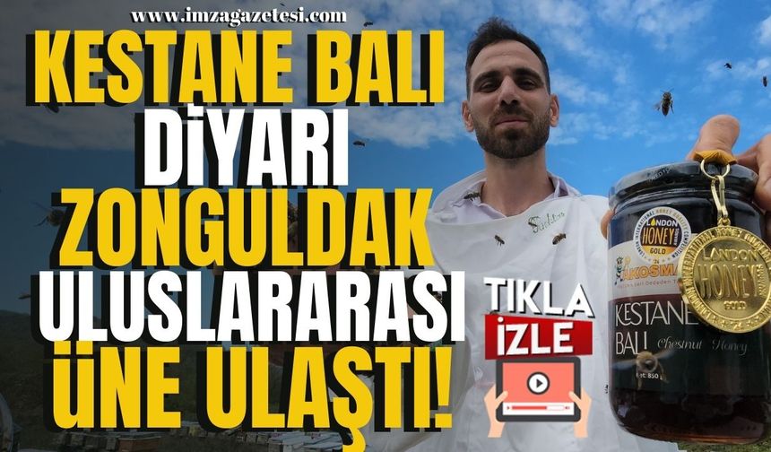 Kestane Balı'nın Diyarı Zonguldak'a 'Altın Bal' Ödülü!