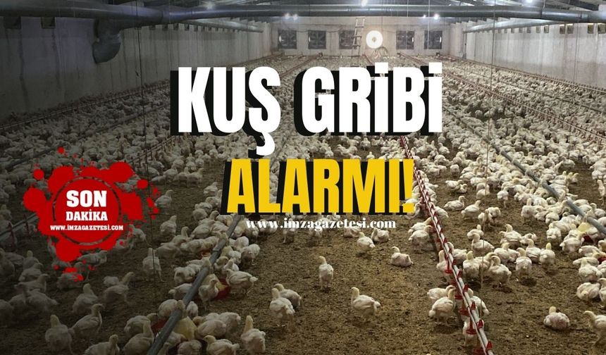 Kuş Gribi Alarmı! Çiftlikler yüzde yüz kayıp riskiyle karşı karşıya...