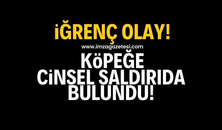 Samsun'un Bafra ilçesinde iğrenç olay! Köpeğe cinsel saldırıda bulundu!