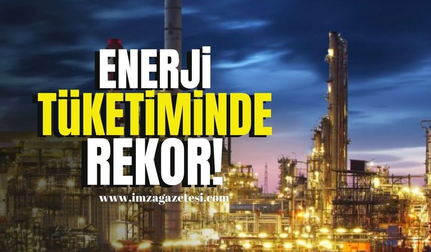 Sanayide Enerji Tüketimi Rekor Seviyede!