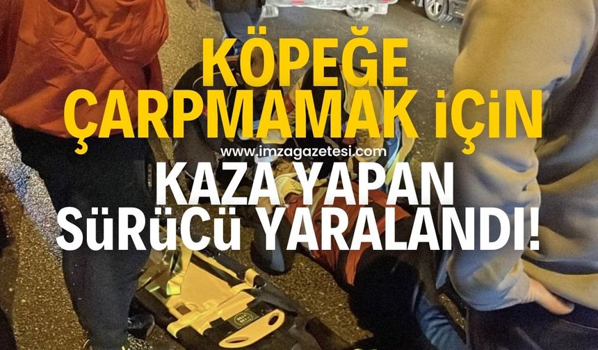 Sokak köpeğine çarpmak istemeyen motosiklet sürücüsü yaralandı!