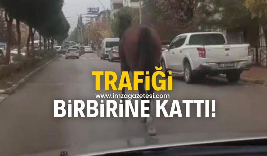 Trafiği tehlikeye attı!