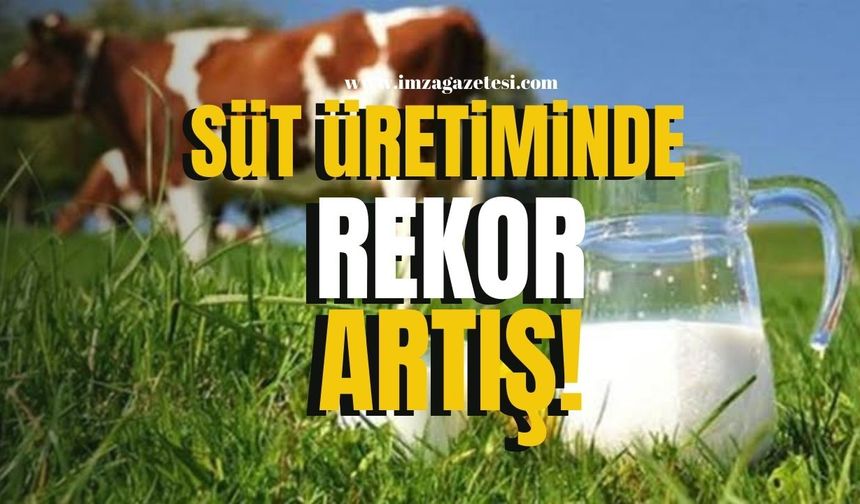 Süt üretiminde rekor artış!