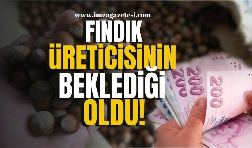 Zonguldak, Giresun, Ordu, Samsun, Trabzon, Bartın, Kocaeli, Düzce'li fındık üreticisinin beklediği oldu!