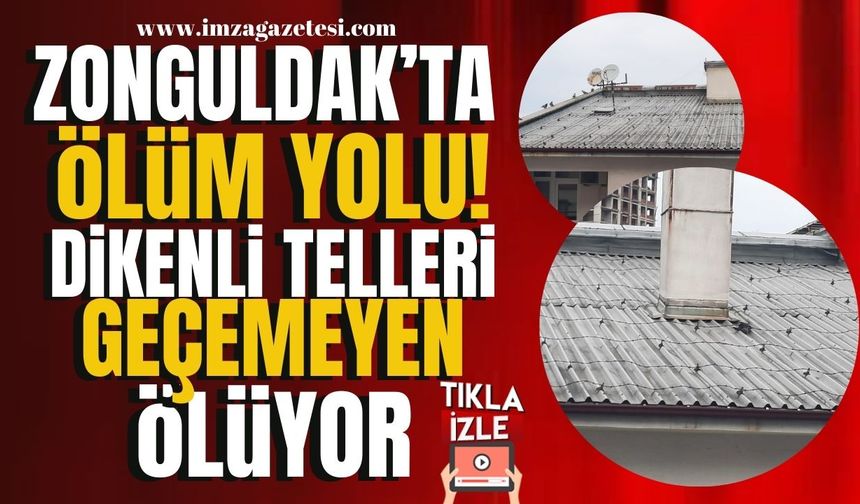 Zonguldak'ta bulunan ölüm yolu! Dikenli telleri aşamayan ölüyor! | Zonguldak Haber