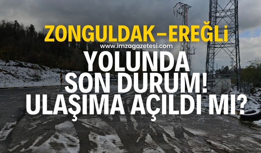 Zonguldak'ta İstanbul ve Ankara güzergahlarında son durum! Ulaşıma açıldı mı?