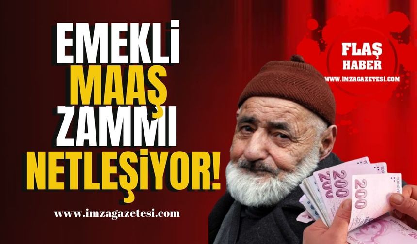 2025 Yılı Emekli Maaşı Zammı Netleşiyor! | Emekli Zam Haberleri