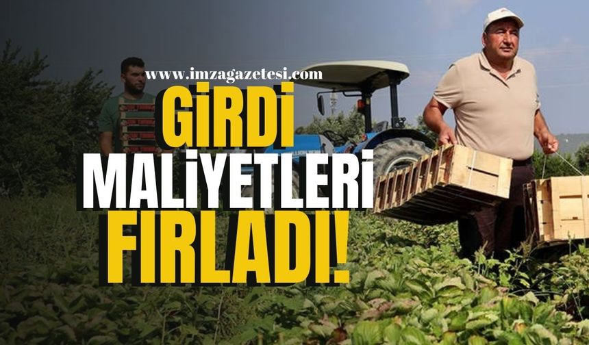 Tarımda Girdi Maliyetleri Fırladı! | Ekonomi Haber