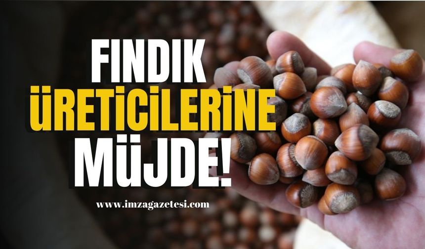 Giresun, Ordu, Samsun, Trabzon, Sakarya, Zonguldak ve Düzce'deki fındık üreticilerine müjde!  Zonguldak Haber