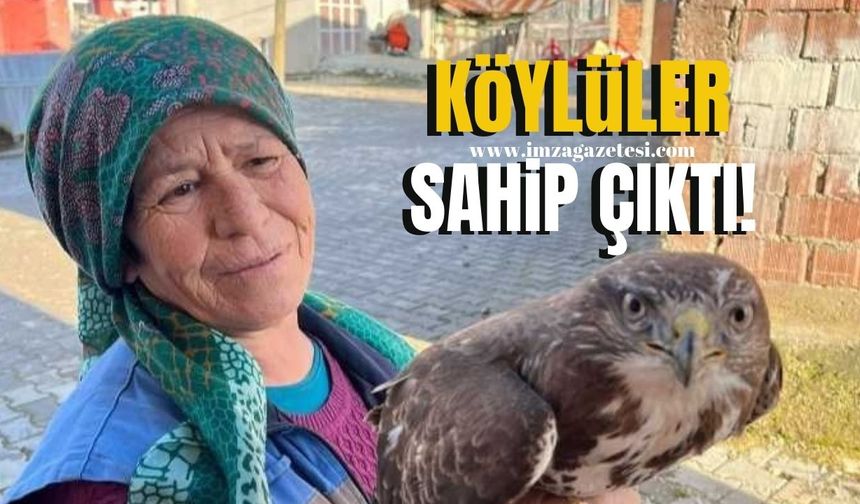 Kastamonu’da Yaralı Şahin’e Köylüler Sahip Çıktı...| Kastamonu Haber