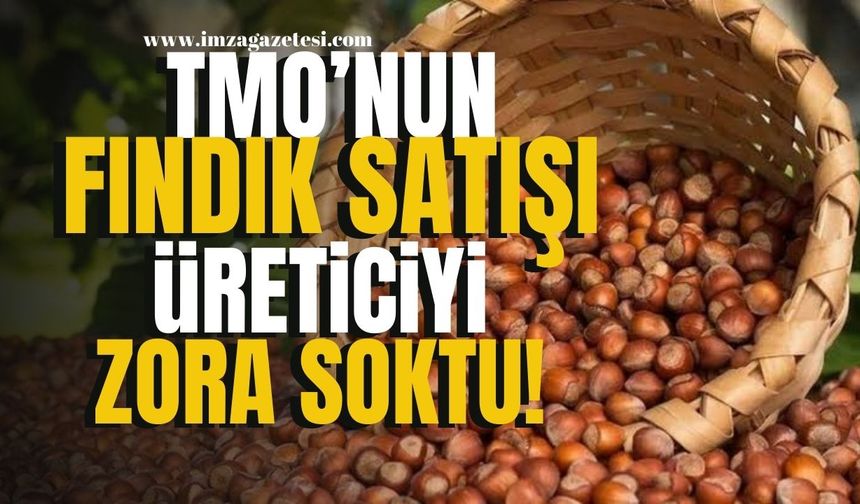 TMO'nun Fındık Satış Kararı Üreticiyi Zora Soktu! | İmza