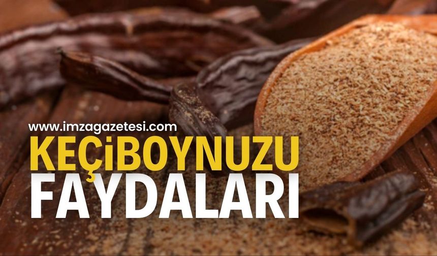 Keçiboynuzu faydaları nelerdir? İşte bitkinin bilinmeyen etkileri