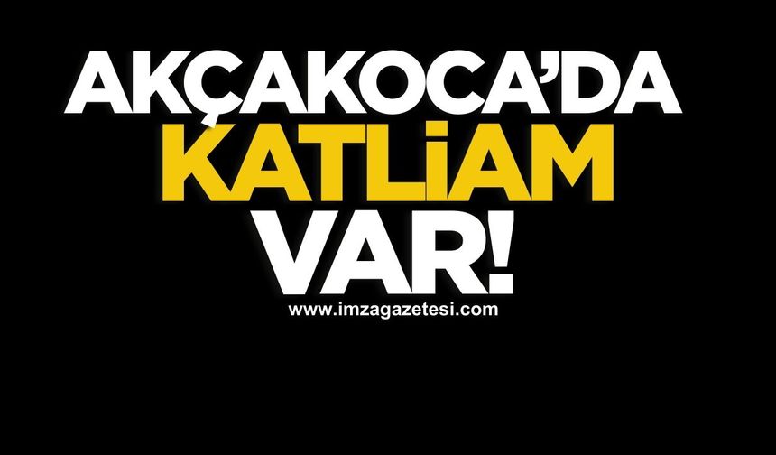 Akçakoca’da katliam yapılıyor!