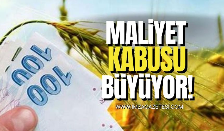 Tarımda maliyet kabusu büyüyor!