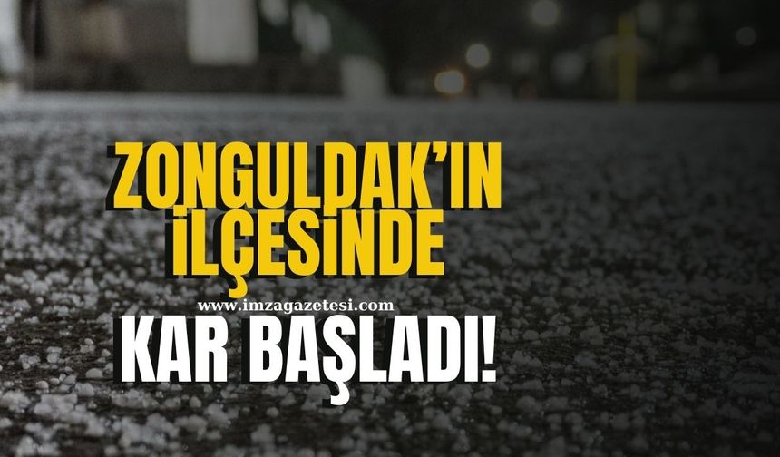 Zonguldak'ın ilçesinde kar yağışı etkili oluyor