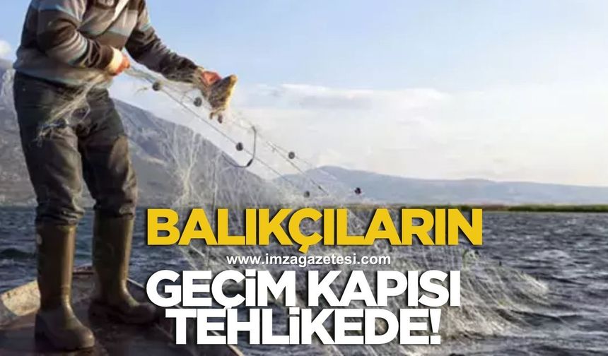 ALAPLI LİMANI'NDA MÜHENDİSLİK SKANDALI: BALIKÇILARIN GEÇİM KAPISI TEHLİKEDE
