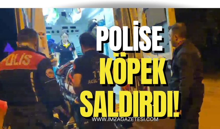 Polislere köpek saldırısı! Polisler yaralandı!