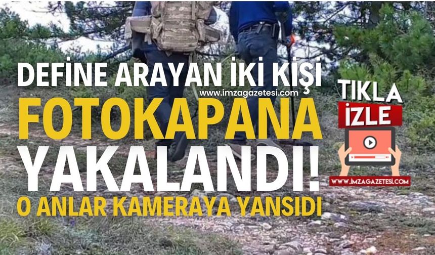 Vahşi Hayatın Ortasında Defineci Şoku: Fotokapan Her Şeyi Ortaya Çıkardı!