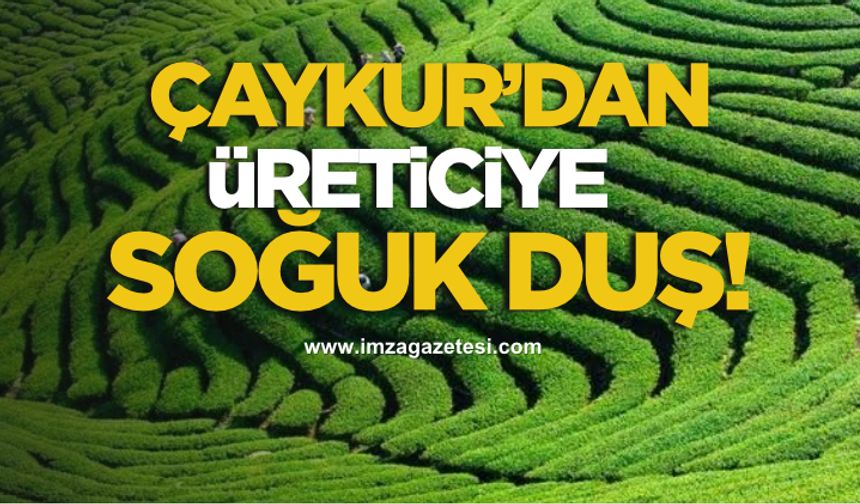 ÇAYKUR’dan Üreticiye Soğuk Duş!