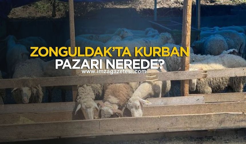 Zonguldak'ta kurban pazarı nerede?