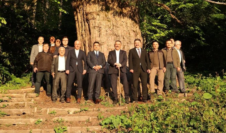 BİM 16 Mayıs 2025 Kataloğu: İndirimlerle Dolu Sürpriz Ürünler Sizi Bekliyor!