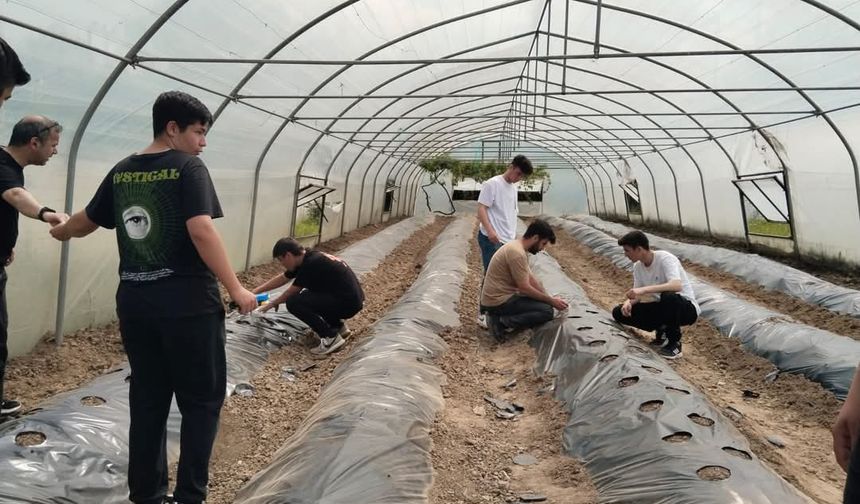 Zonguldak Tarım Lisesi'nde Çilek Yetiştiriciliğine Özel İlgi: Geleceğin Üreticileri Bilgilendirildi