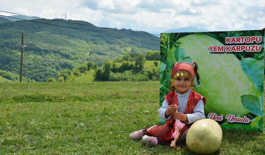 Zonguldak'ta Tarımsal Geleceğin Yeni Gözdesi: Yerli Yemlik "Kartopu"