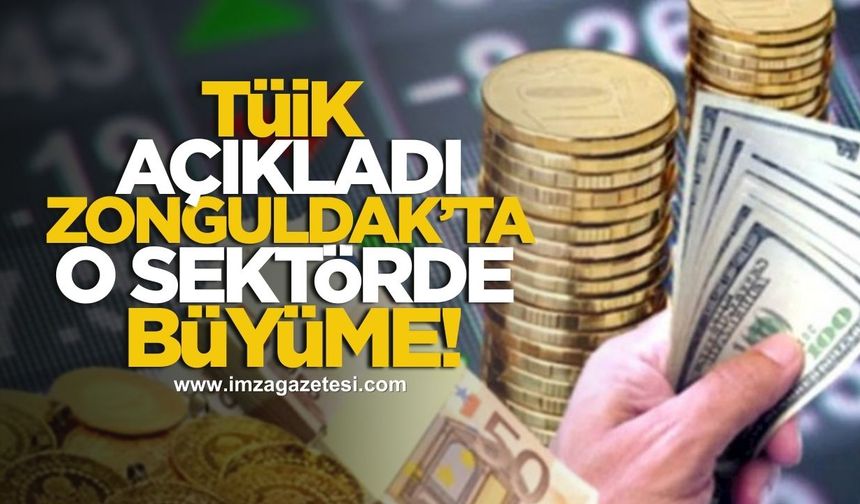 TÜİK açıkladı! Zonguldak'ta o sektörde büyüme devam ediyor!
